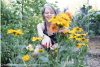 Creatieve moestuin: fantastische bloemen voor verhoogde bedden