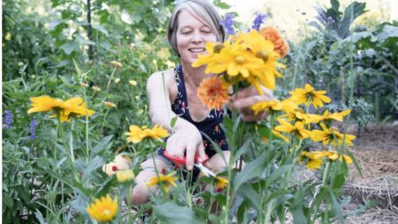 Creatieve moestuin: fantastische bloemen voor verhoogde bedden